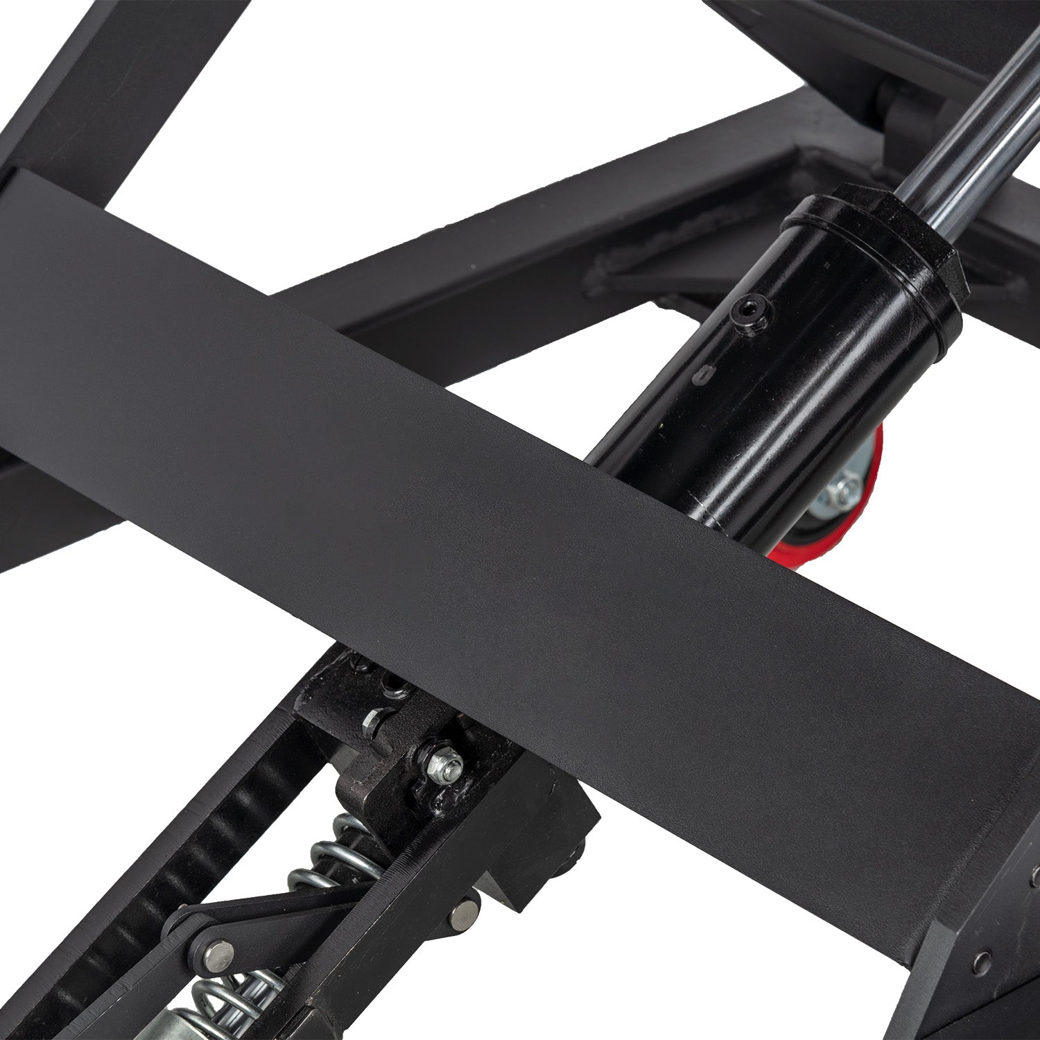 Rhino Lift, 48" x 30"