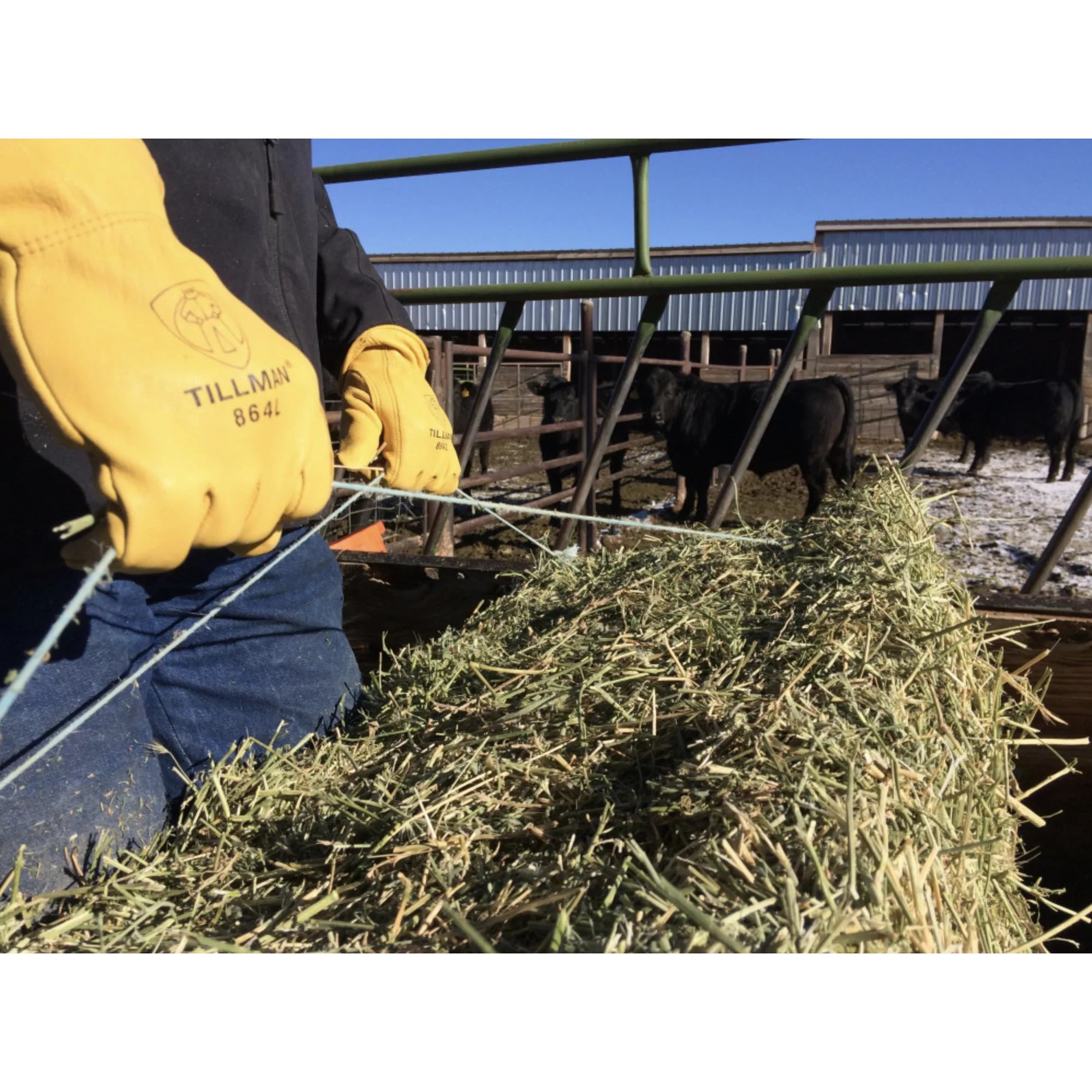 Tillman 864 Deerskin Drivers Gloves